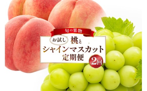 おいしい果物を厳選してお届け！フルーツ定期便
