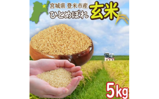 ≪令和7年産≫ 宮城県登米市産 ひとめぼれ 玄米 5kg