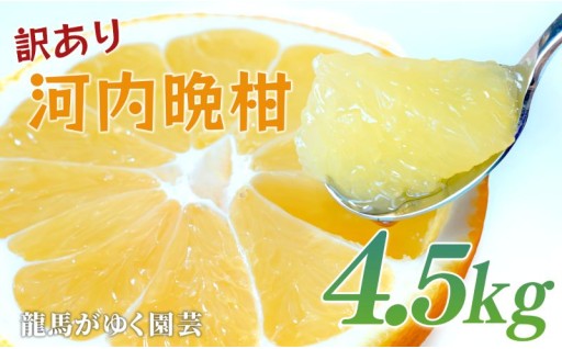 味はそのまま、お得に楽しめる訳あり河内晩柑。