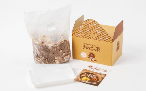 おうちで楽しむ　しいたけ栽培キット　きのこっ家