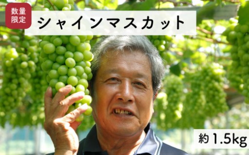 シャインマスカット受付開始しました！