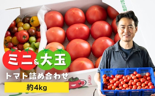 【受付開始！】加藤トマト園のトマト詰め合わせ（選べるキロ数）