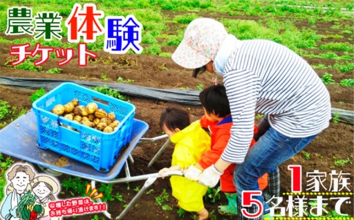 農業体験（一枚で1家族5名様まで参加可能）