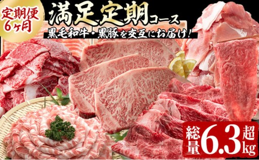 【定期便全6回】黒毛和牛・黒豚を交互にお届け！＜志布志牛・豚 満足定期コース＞計6.3kg超！