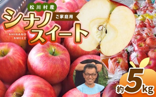 家庭用 シナノスイート 約5kg 【2026年先行予約】