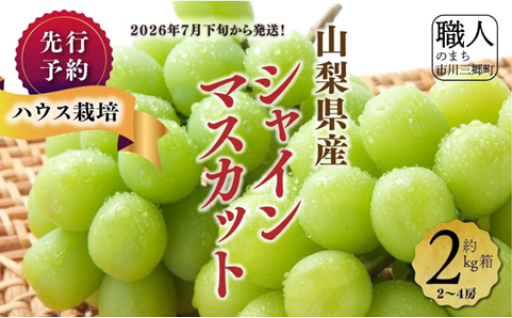 山梨県産シャインマスカット２kg（２～４房程度）
