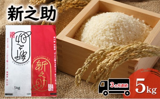 【お米定期便のお知らせ】3ヵ月定期便「新之助」5kg