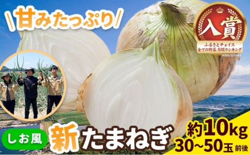 📢 間もなく出荷開始！旬の甘みが溢れ出す「しお風新玉ねぎ」