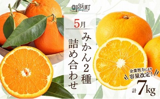【⏰まもなく出荷開始💨】5月の御浜柑橘 みかん2種詰め合わせ 7キロ