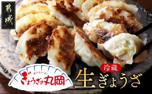 都城市より～【ぎょうざの丸岡】生ぎょうざ50個たれ付き