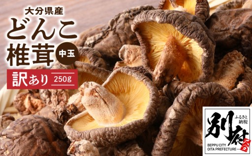 訳ありの人気肉厚「どんこ椎茸(中玉)」