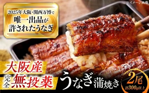 関西万博にも出品！大阪が誇る幻の美陵鰻