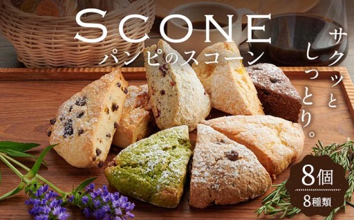 パンピのスコーン 8個(8種) 個包装 詰め合わせ