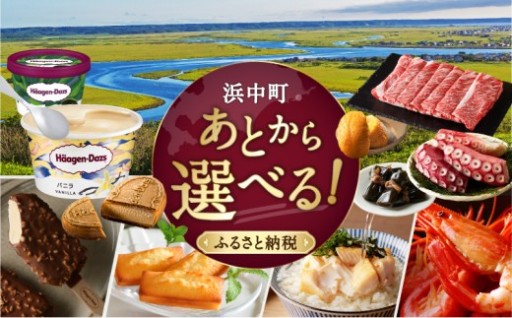 🎁✨あとから選べる！ふるさとギフト✨