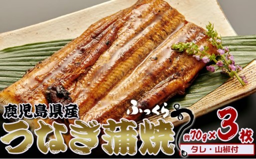 鹿児島県産　うなぎ蒲焼　約70g×3枚【タレ・山椒付】