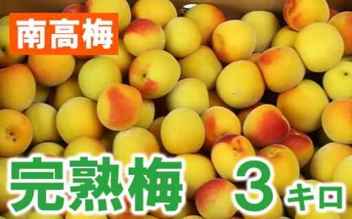 ひらそ農園の完熟梅 3kg