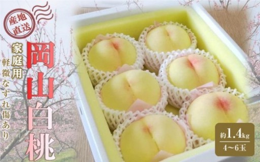 桃 2026年 ご家庭用 岡山 白桃 約1.4kg（4～6玉） 
