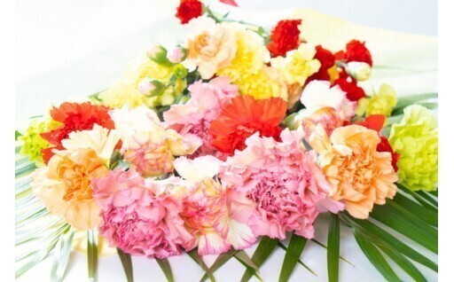 まだ間に合います！母の日★切りたて直送★ カーネーション花束