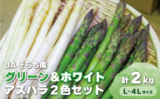 北海道産アスパラ グリーン＆ホワイト2色L～4L