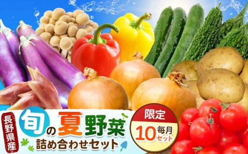 先行受付！天龍村の旬の夏野菜（農産物）詰め合わせセット 令和8年 7月～9月発送予定
