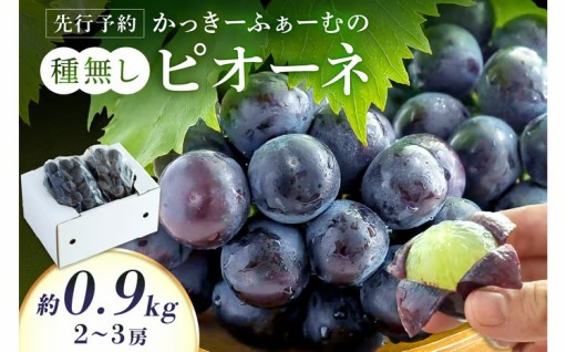 💧浜田の大自然🌳と一緒に育てた🍇ピオーネ🍇