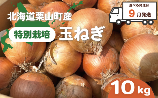 【発送月が選べる】北海道栗山町産 特別栽培玉ねぎ