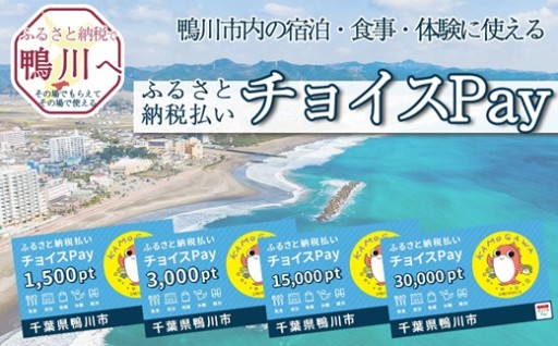 即時発行でらくらく決済。チョイスPayで鴨川のGW旅を満喫
