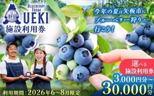 夏休みの予定はお決まりですか？矢板市の人気農園で、ブルーベリ狩り♪