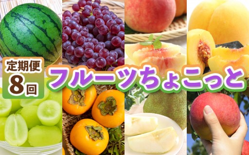 【定期便8回】フルーツちょこっと【令和8年産】