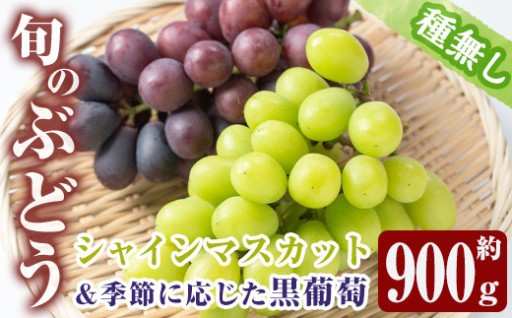 ≪先行予約受付中！≫ シャインマスカット・黒ぶどうセット(計2房・約900g) 【大倉野 隆】