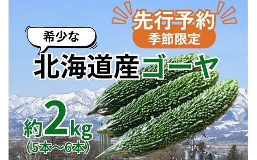 北海道産ゴーヤの先行予約が始まりました！