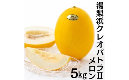 黄金の果実『クレオパトラⅡメロン』！！