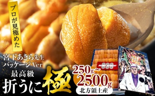 🟡【極】プロ厳選 天然バフンウニ 最高級折うに（男塾限定パッケージ）✨