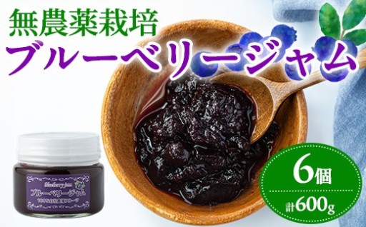 贅沢な国産ブルーベリージャム(100g×6個・計600g)