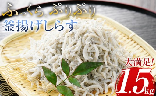 ＼注文数急上昇／釜揚げしらす 500g〜2kg 【選べる容量】