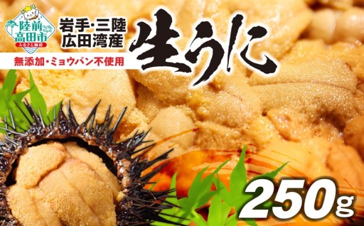 2026年1月から寄附額変更【 2026年初夏発送 期間限定 】無添加 生うに 250g (塩水パック)