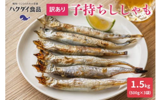 【訳あり】子持ちシシャモ 1.5kg（500g×3袋） 