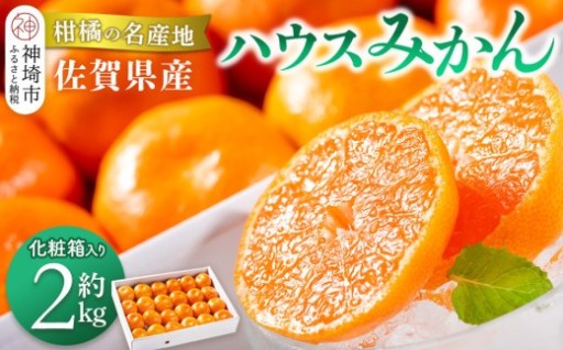 佐賀が誇る夏場も食べられる『ハウスみかん』🍊