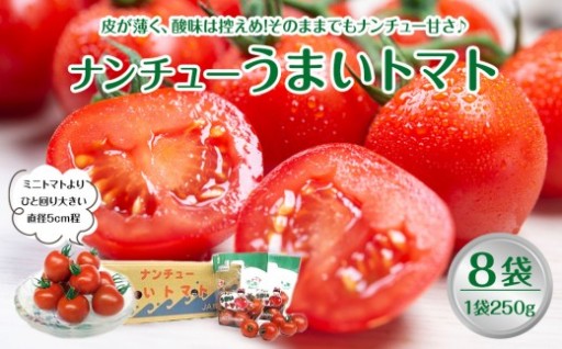 【先行予約】【ＪＡ】ナンチューうまいトマト（中玉トマト）