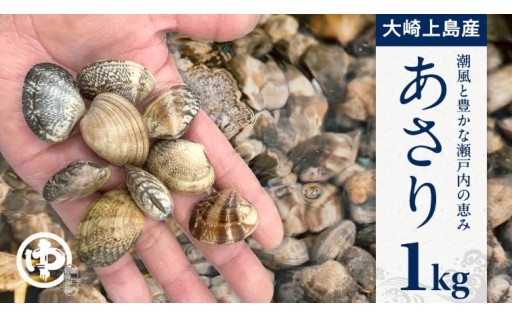 【4月末まで】 届いてすぐ調理！ 砂抜き済み 国産 あさり 1kg ( 500g × 2袋 小分け )