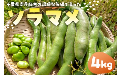 ソラマメ4kg 