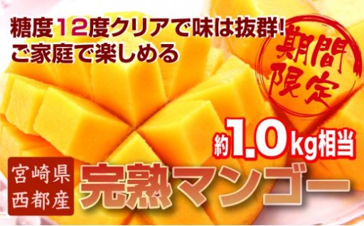 西都産完熟マンゴー 糖度12度以上 3～4玉入