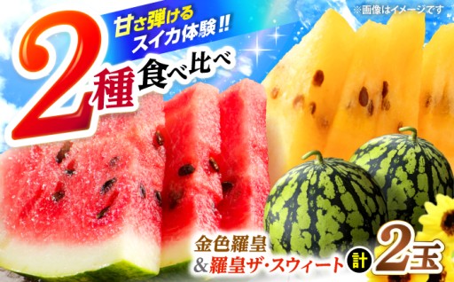 【夏に向けて！！準備】 金色羅皇＆羅皇ザ・スウィート（計2玉）＜ファームまるだ＞ [CDT008]