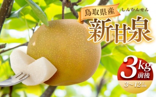 【先行予約】新甘泉 3kg前後（3～12玉前後)