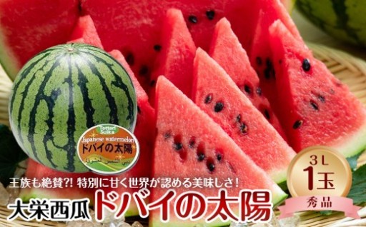 【先行予約】【ＪＡ】大栄西瓜「ドバイの太陽」秀3Ｌ×1玉