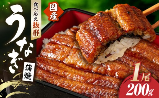 発送当日に捌き焼き上げ！国産鰻蒲焼き