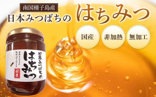 ≪数量限定≫南国種子島産！日本みつばちのはちみつ(300g)
