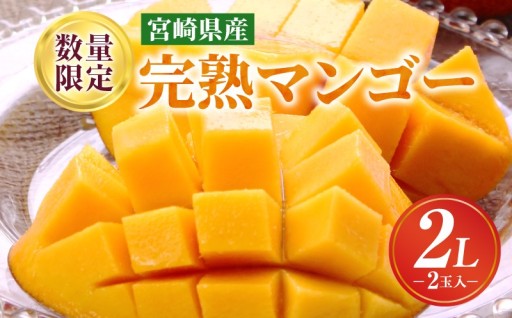【宮崎県宮崎市】完熟マンゴー 2Lサイズ×2玉🥭