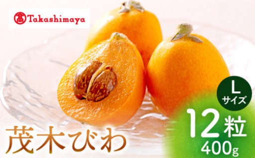 【髙島屋九州屋】長崎県産茂木びわ 計400g Lサイズ 12粒