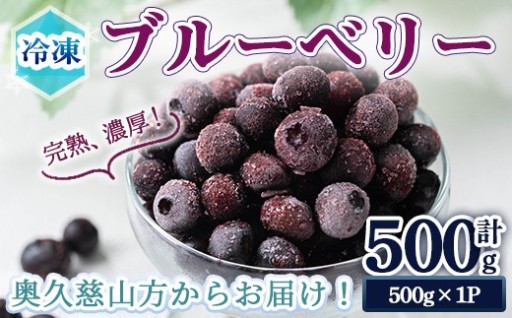 ＜先行予約受付中！2026年7月中旬以降順次発送予定＞冷凍ブルーベリー500g